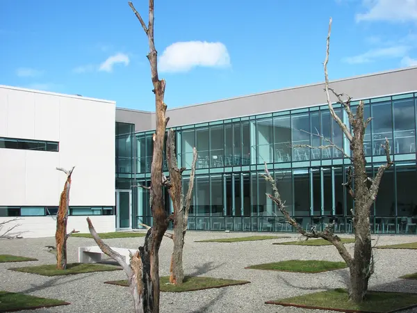 INACAP Punta Arenas, Punta Arenas