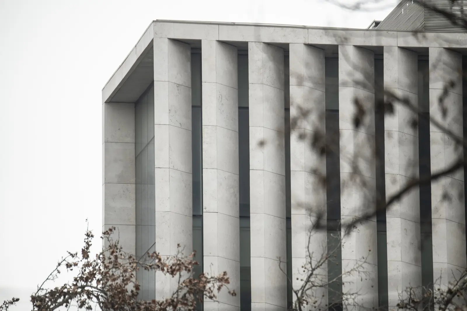 Universidad Autónoma, vista 6
